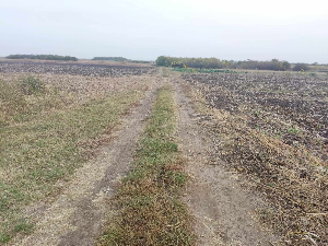 За девет година 214 милиона евра потрошено за „крпљење буџетских рупа“, уместо за мере унапређења пољопривредног земљишта 