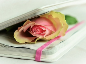 У друштву песника