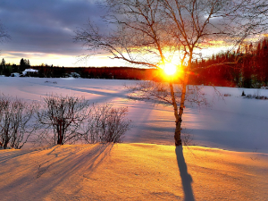 После јутарњег мраза дан осетно топлији, температура до 11 степени
