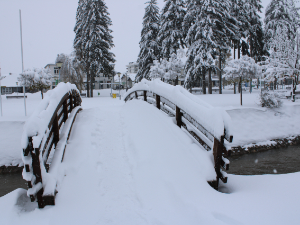 Киша, суснежица и снег, од средине дана разведравање