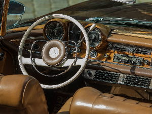 Азбука евергрина - Kelly Smith