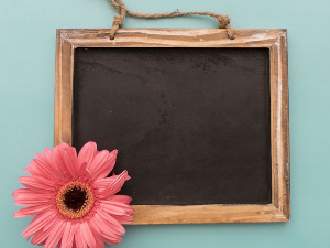 Портрет - Милан Котлић