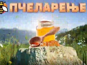 Еко минијатуре: Пчеларење - пчеларство на факултету