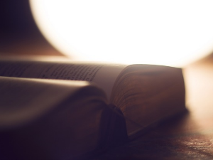 У друштву песника