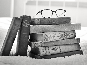 У друштву песника