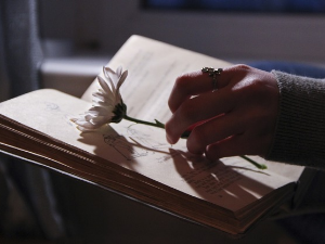 У друштву песника