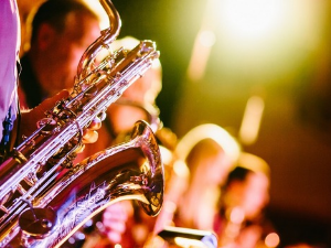 Концерт - Војислав Спасић