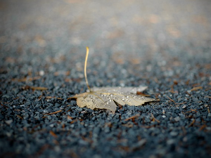И данас ће нам требати кишобран, ваздух са Медитерана доноси топлије време