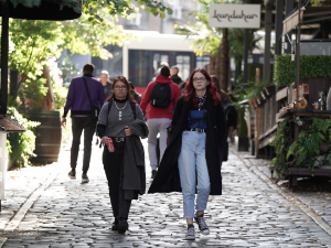 Данас до 17 степени, увече и током ноћи киша