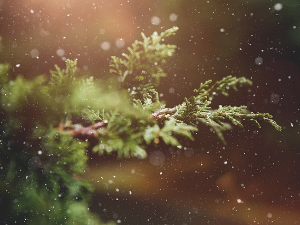 Стиже хладнији ваздух из средње Европе, за југ Србије прогнозиран снег