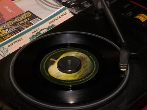 Има више од три хиљаде плоча - колекционар Миле Брада