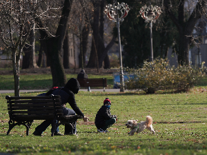 Сунчано и топлије – до девет степени