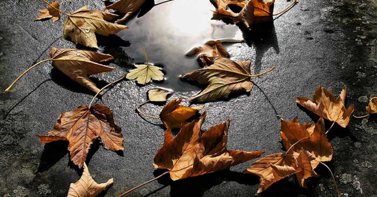 Температурни шок на почетку децембра, 19 степени хладније него јуче