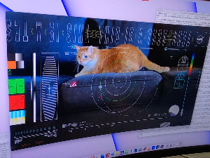 Мачак Тејтерс звезда Насиног видео-снимка стримованог из дубоког свемира