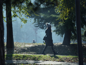Без снега у новогодишњој ноћи, пред нама још једна блага зима