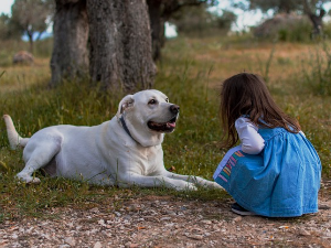 Зашто би дете пожелело да убије пса?!