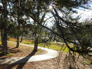 Облачно и топлије, температура до 17 степени