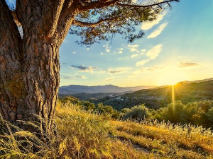 Еко минијатуре: Порука природе