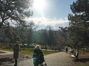 Наставља се пролеће у децембру, данас до 18 степени