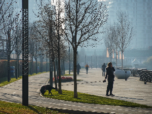 Натпросечно топло и последњег дана у години – у новогодишњој ноћи до осам степени