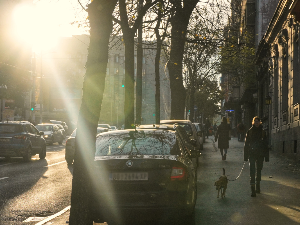 Температура до 15 степени првог дана нове године, када се очекује снежни покривач