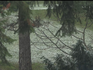 Облачно и хладно уз кишу и снег