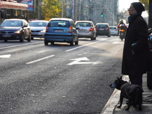 Облачно, суво и хладно – сунчано на планинама јужне и источне Србије