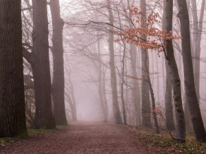 Магловито недељно јутро, у Војводини и Подрињу наранџасти метеоаларм