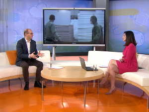 Пуно дрво је доступније богатијима, али ни иверици ништа не фали