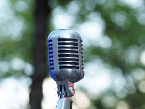  У друштву песника 