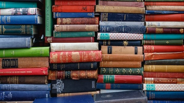 Ивана Максић: Шугар, наш савременик