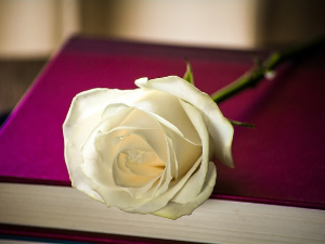  У друштву песника 