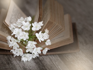  У друштву песника 