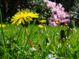 Променљиво време – облачно и топло, понегде киша