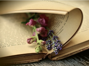  У друштву песника 