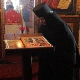 Српске светиње на Косову и Метохији: Будисавци