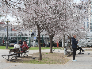 Данас ће повремено падати киша, температура у мањем паду