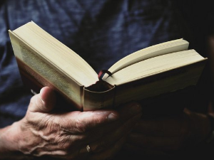  У друштву песника 