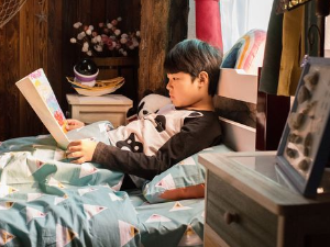 Шарена панда