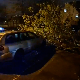 Олуја оборила дрво на Новом Београду