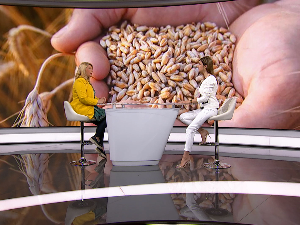 Силоси пуни, траже се нови купци – која је препорука Удружења жита Србије