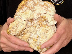 „Жена ће бити срећна“ – Аустралијанац пронашао џиновски грумен злата вредан 160.000 долара