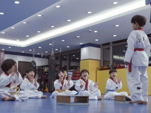 Теквондо близанци