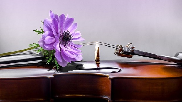 Жене у музици – Емилија Кортус