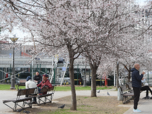 Данас топло, повремено киша, температура до 21 степен