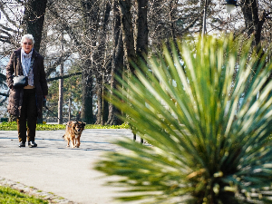Стиже топлији ваздух са запада, температура до 18 степени