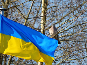 Амбасада Украјине: Немамо информације о слању српског оружја Украјини