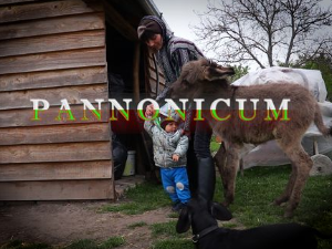 Паноникум: Чувати и сачувати