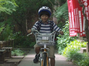 Дедина чинија