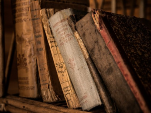  У друштву песника 